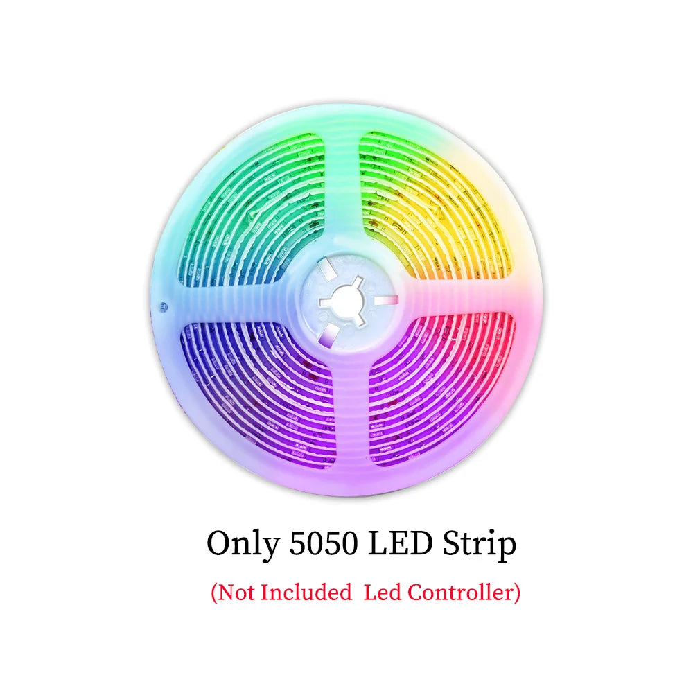 WS2812B USB LED Strip RGBIC  Bluetooth App Control Chasing Effect Lights Flexible Tape Diode Ribbon TV Desktop Backlight 1m-30m